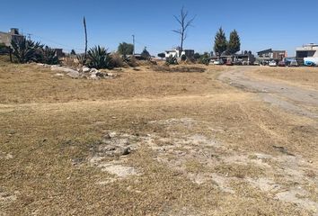 Lote de Terreno en  Calle San Mateo Poniente, San Mateo Tlalchichilpan, Almoloya De Juárez, México, 50904, Mex