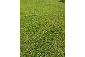 Lote de Terreno en  Circasia, Quindío