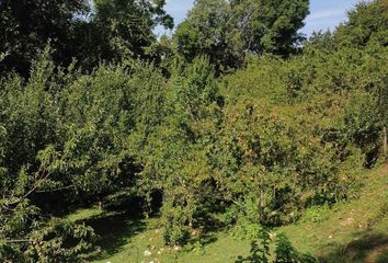 Lote de Terreno en  Avándaro, Valle De Bravo