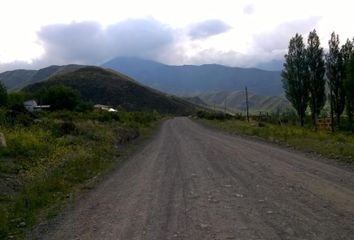 Terrenos en  Luján De Cuyo, Mendoza