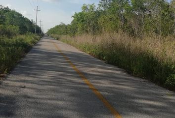 Lote de Terreno en  Colonia Benito Juárez, Cancún, Quintana Roo