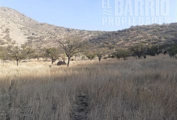 Parcela en  Colina, Chacabuco