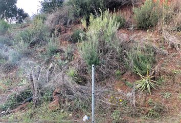 Terreno en  Abrera, Barcelona Provincia