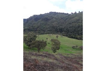 Villa-Quinta en  Salento, Quindío