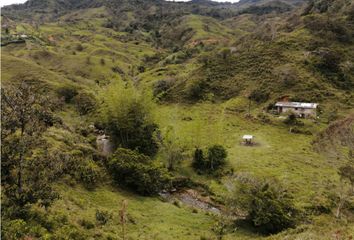 Lote de Terreno en  Alejandría, Antioquia
