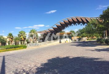 Lote de Terreno en  Los Viñedos, Torreón