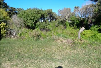 Terrenos en  Otro, Villa Gesell