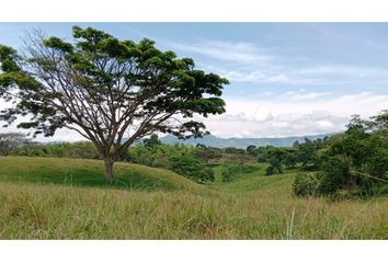 Villa-Quinta en  Circasia, Quindío