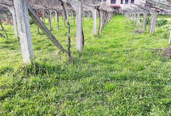 Terreno en  Petelos (san Mamede), Pontevedra Provincia