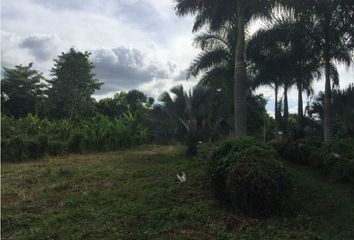 Lote de Terreno en  La Castellana, Montería