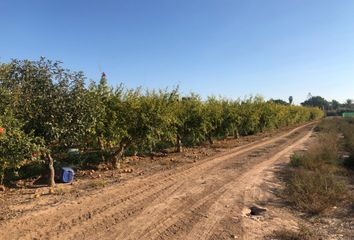 Terreno en  Las Bayas, Alicante Provincia