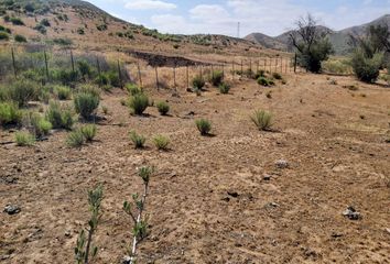 Rancho en  Ensenada, Baja California, Mex