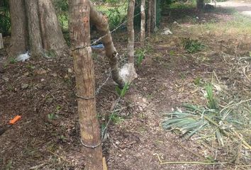 Lote de Terreno en  Bacalar, Bacalar, Bacalar, Quintana Roo