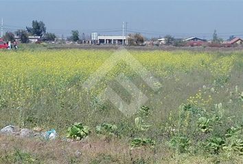 Parcela en  Colina, Chacabuco