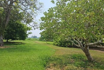 Lote de Terreno en  Tuxpan, Veracruz De Ignacio De La Llave, Mex