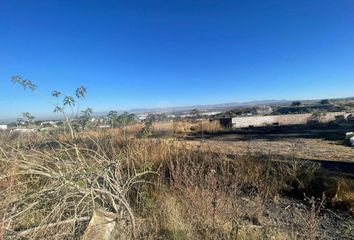Lote de Terreno en  Ejido Lo De Juárez, Irapuato, Guanajuato
