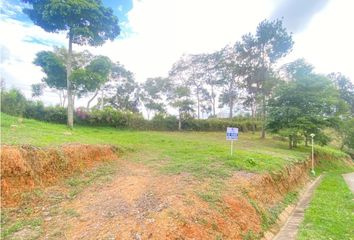 Lote de Terreno en  Lebrija, Santander