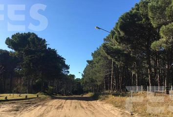 Terrenos en  Otro, Pinamar