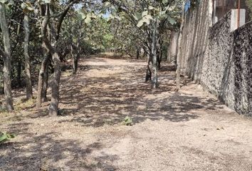 Lote de Terreno en  Colonia El Palomar, Tlajomulco De Zúñiga