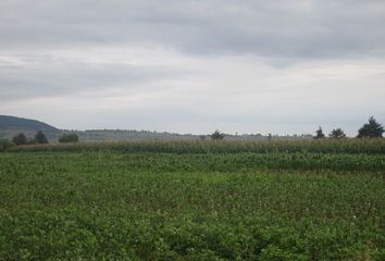 Lote de Terreno en  Zinacantepec, Zinacantepec