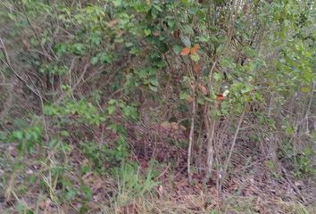 Lote de Terreno en  José María Morelos, Quintana Roo