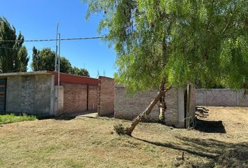 Terrenos en  Los Corralitos, Mendoza