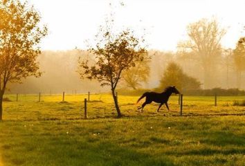 Lote de Terreno en  Teabo, Yucatán, Mex