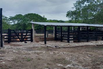 Lote de Terreno en  Panabá, Yucatán