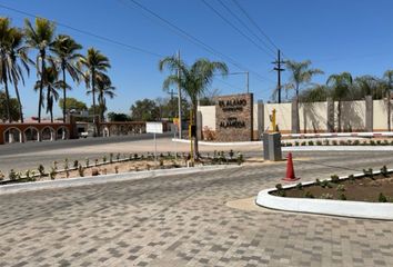 Lote de Terreno en  La Higuerita, Sinaloa