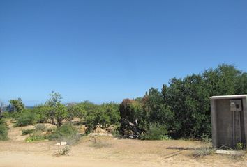 Lote de Terreno en  El Carrizal, Baja California Sur
