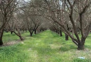 Parcela en  Curacaví, Melipilla