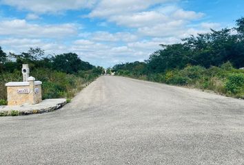 Lote de Terreno en  Calle 30, Chicxulub, Chicxulub Pueblo, Yucatán, 97340, Mex