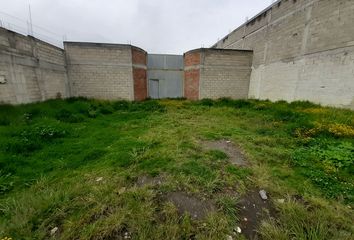 Lote de Terreno en  Santa Ana Tlapaltitlán, Toluca