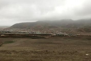 Terreno en  Chilca, Cañete