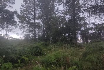 Lote de Terreno en  Entrada, Campo Eucaristico, Bogotá, Distrito Capital, Col