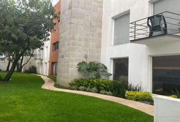 Departamento en  Calzada Desierto De Los Leones 5411, Olivar De Los Padres, Álvaro Obregón, Ciudad De México, 01700, Mex