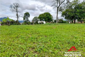 Lote de Terreno en  Cerritos, Pereira