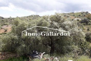 Terreno en  Cutar, Málaga Provincia