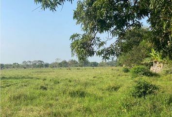 Lote de Terreno en  Ciénaga De Oro, Córdoba