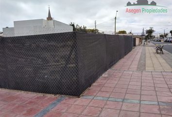 Parcela en  Caldera, Copiapó