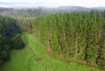 Parcela en  Osorno, Osorno