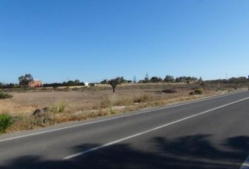 Terreno en  Elx/elche, Alicante Provincia