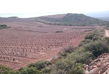 Terreno en  Navarrete, Rioja (la)