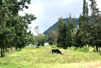 Lote de Terreno en  Amanalco, Estado De México