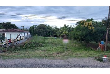 Lotes y Terrenos en  Palmas De Gorgona, Chame