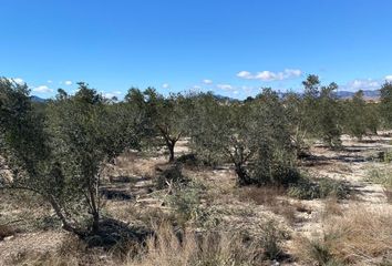 Terreno en  Monforte Del Cid, Alicante Provincia