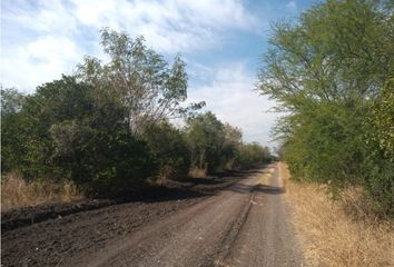 Lote de Terreno en  Ciudad Ciudad Allende, Allende, Nuevo León