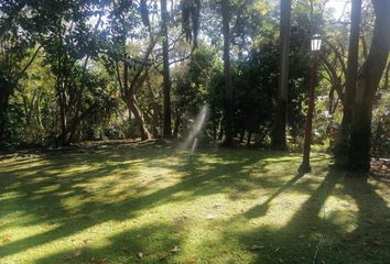 Lote de Terreno en  Buenavista, Cuernavaca, Morelos