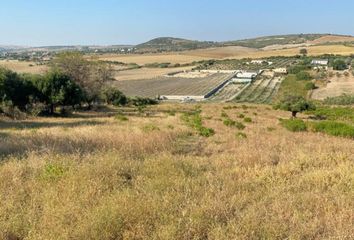 Terreno en  Arcos De La Frontera, Cádiz Provincia