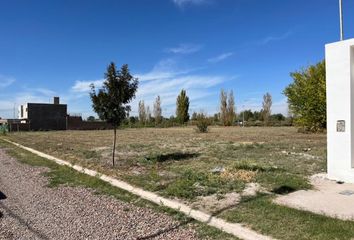 Terrenos en  Otro, Mendoza